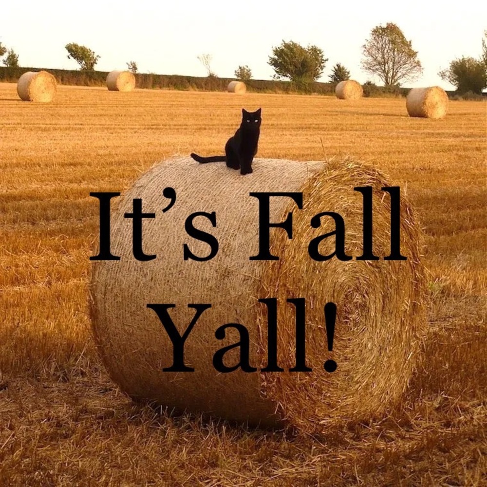 Handmade Fall Crafts Coming Soon…